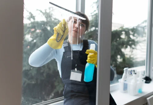 Nettoyage de vitres intérieures et extérieures à Lüe